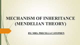 MECHANISM OF INHERITANCE
(MENDELIAN THEORY)
BY: MRS. PRECILLA C.STEPHEN
 