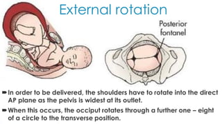 Mechanism of labor | PDF