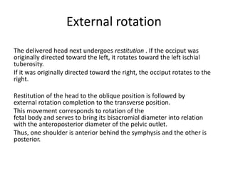 Mechanism of labor | PPSX