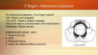Deflexed The Mechanism of Normal Labor class.pptx