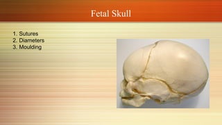 The Mechanism of Normal Labor class.pptx