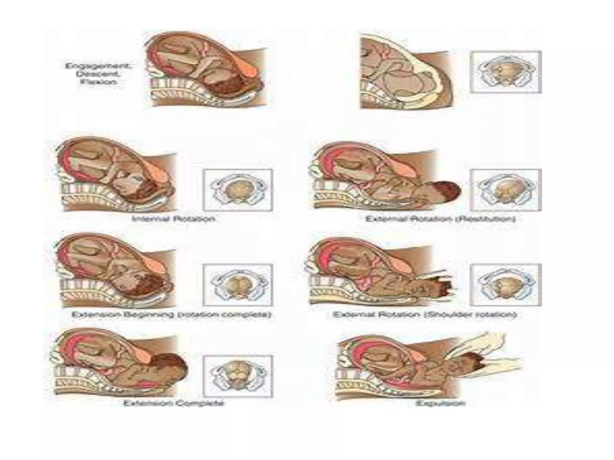 Mechanism Of Labour PPTX Mechanism Of Labour PPTX