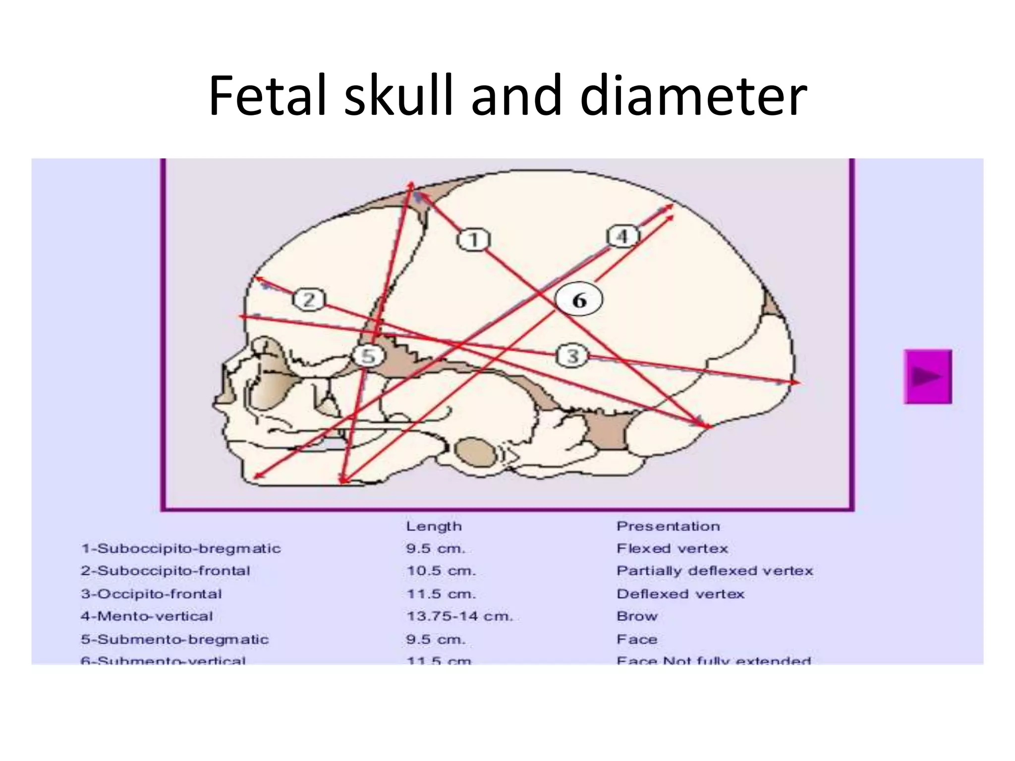 Mechanism of labour | PPTX