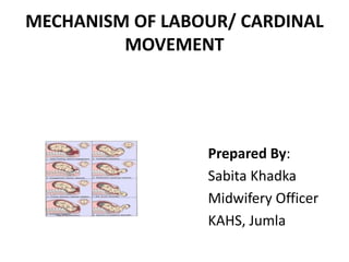 MECHANISM OF LABOUR/ CARDINAL
MOVEMENT
Prepared By:
Sabita Khadka
Midwifery Officer
KAHS, Jumla
 