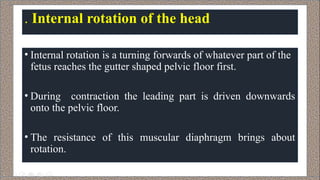 mechanism of labour important event .pptx