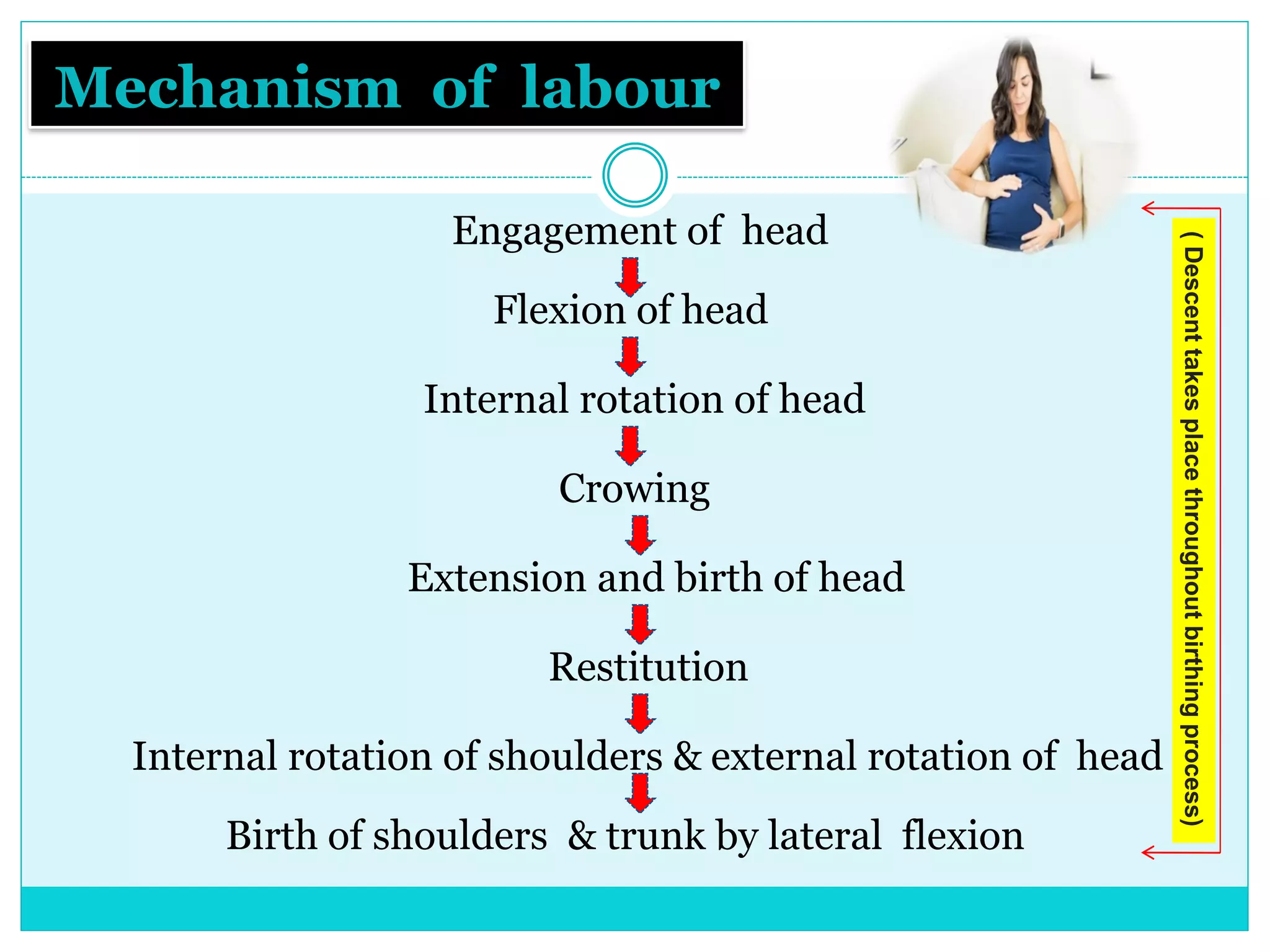 Mechanism of labour
Engagement of head
Flexion of head
Internal rotation of head
Crowing
Extension and birth of head
Restitution
Internal rotation of shoulders & external rotation of head
Birth of shoulders & trunk by lateral flexion
(Descenttakesplacethroughoutbirthingprocess)
 