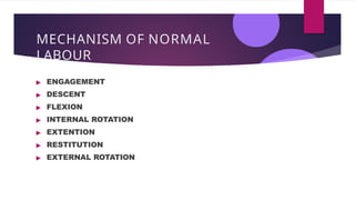 MECHANISM OF LABOUR - OCCIPITOANTERIOR POSITION.pptx