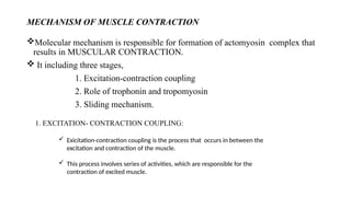 MECHANISM OF MUSCLE CONTRACTION AND ENERGY SOURCES.pptx