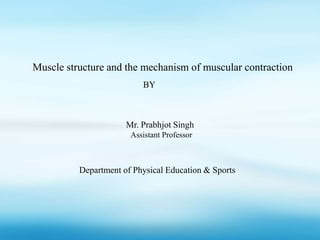 Muscle structure and the mechanism of muscular contraction
BY
Mr. Prabhjot Singh
Assistant Professor
Department of Physical Education & Sports
 