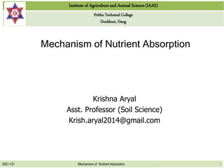 Institute of Agriculture and Animal Science (IAAS)
Prithu Technical College
Deukhuri, Dang
SSC-121 Mechanism of Nutrient Absorption
Mechanism of Nutrient Absorption
Krishna Aryal
Asst. Professor (Soil Science)
Krish.aryal2014@gmail.com
1
 