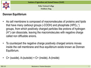 Institute of Agriculture and Animal Science (IAAS)
Prithu Technical College
Deukhuri, Dang
SSC-121 Mechanism of Nutrient Absorption 12
Donnan Equilibrium
• As cell membrane is composed of macromolecules of proteins and lipids
that have many carboxyl groups (-COOH) and phosphate (HPO₃⁻)
groups, from which positively charged particles like protons of hydrogen
(H⁺) can dissociate, leaving the macromolecules with negative charge
called non diffusible anions.
• To counterpart the negative charge positively charged anions moves
inside the cell membrane and thus equilibrium exists known as Donnan
Equilibrium.
• C+ (ouside). A-(outside) = C+ (inside). A-(inside)
 