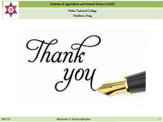 Institute of Agriculture and Animal Science (IAAS)
Prithu Technical College
Deukhuri, Dang
SSC-121 Mechanism of Nutrient Absorption 14
 