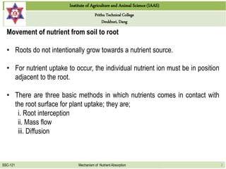 Institute of Agriculture and Animal Science (IAAS)
Prithu Technical College
Deukhuri, Dang
SSC-121 Mechanism of Nutrient Absorption 2
Movement of nutrient from soil to root
• Roots do not intentionally grow towards a nutrient source.
• For nutrient uptake to occur, the individual nutrient ion must be in position
adjacent to the root.
• There are three basic methods in which nutrients comes in contact with
the root surface for plant uptake; they are;
i. Root interception
ii. Mass flow
iii. Diffusion
 