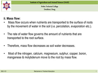 Institute of Agriculture and Animal Science (IAAS)
Prithu Technical College
Deukhuri, Dang
SSC-121 Mechanism of Nutrient Absorption 4
ii. Mass flow:
• Mass flow occurs when nutrients are transported to the surface of roots
by the movement of water in the soil (i.e. percolation, evaporation etc.).
• The rate of water flow governs the amount of nutrients that are
transported to the root surface.
• Therefore, mass flow decreases as soil water decreases.
• Most of the nitrogen, calcium, magnesium, sulphur, copper, boron,
manganese & molybdenum move to the root by mass flow.
 