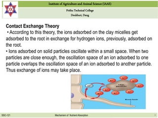 Institute of Agriculture and Animal Science (IAAS)
Prithu Technical College
Deukhuri, Dang
SSC-121 Mechanism of Nutrient Absorption 9
Contact Exchange Theory
• According to this theory, the ions adsorbed on the clay micelles get
adsorbed to the root in exchange for hydrogen ions, previously, adsorbed on
the root.
• Ions adsorbed on solid particles oscillate within a small space. When two
particles are close enough, the oscillation space of an ion adsorbed to one
particle overlaps the oscillation space of an ion adsorbed to another particle.
Thus exchange of ions may take place.
 