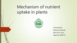 Mechanism of nutrient
uptake in plants
Presented By
Debasish Pattnaik
MSc Ag 5th year
Regd No-08PP/17
 