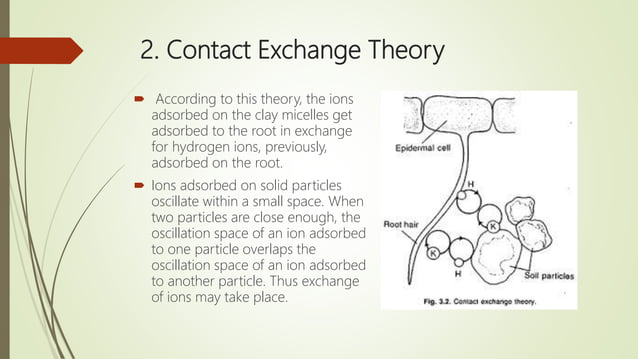 Mechanism of nutrient uptake in plants | PPTX | Chemistry | Science