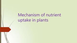 Mechanism of nutrient
uptake in plants
 