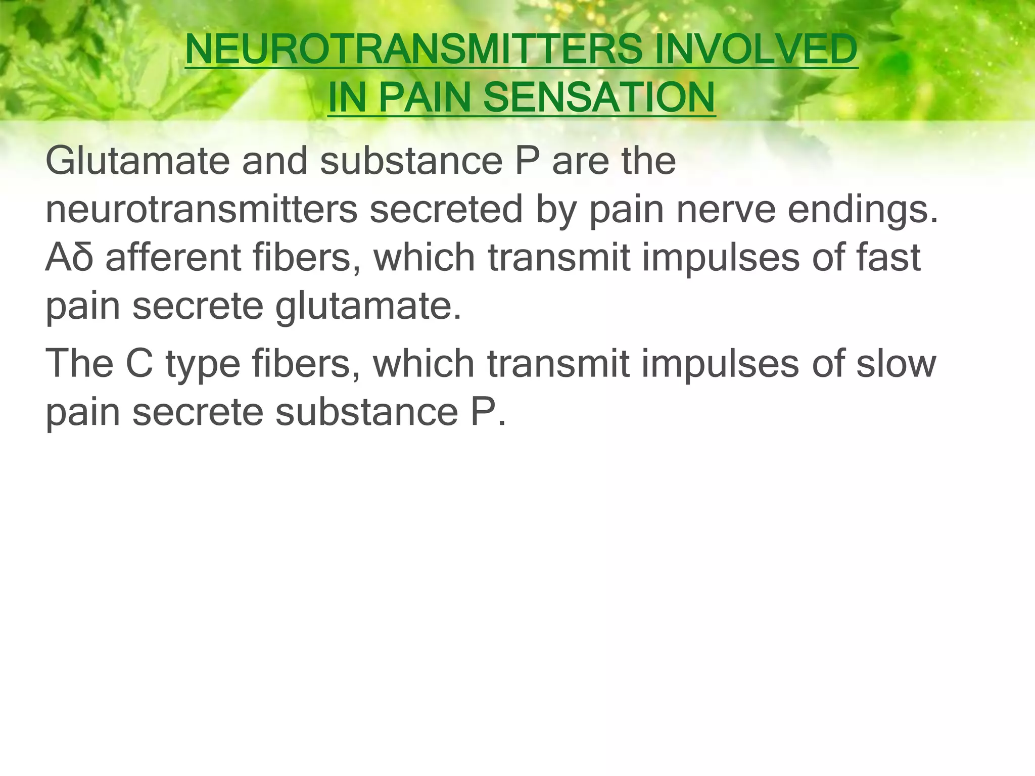 Mechanism of pain | Analgesic system | Pain Physiology | PPTX