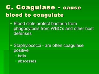 C. Coagulase -  cause blood to coagulate Blood clots protect bacteria from phagocytosis from WBC’s and other host defenses Staphylococci - are often coagulase positive boils abscesses 