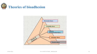 Theories of bioadhesion
30-04-2022 © R R INSTITUTIONS , BANGALORE 14
 