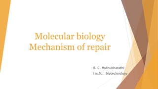 Molecular biology
Mechanism of repair
B. C. Muthubharathi
I M.Sc., Biotechnology
 