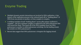 Enzyme Trading
 Multiple dynamic protein interactions are involved in DNA replication. A key
feature of the replication process is the ordered hand-off or “trading places” of
DNA from one protein to another, or from complex to complex.
 A striking example of such “trading places” occurs after primer synthesis is
complete – the pol α/primase complex is replaced by the DNA polymerase that
will extend the chain. This hand-off of the DNA template from one DNA
polymerase to another is called polymerase switching. On the leading strand,
the switch is to DNA polymerase δ.
 Recent data suggest that DNA polymerase ε elongates the lagging strand.
 