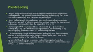 Proofreading
 Despite being classified as high-fidelity enzymes, the replicative polymerases
are not perfect. They generate errors spontaneously when copying DNA, with
mutation rates ranging from 10−4 to 10−5 per base pair.
 Many replicative polymerases have an associated proofreading exonuclease
that excises 90–99% of misincorporated nucleotides, reducing the spontaneous
polymerase error rates to within the range of 10−7 to 10−8.
 For example, DNA polymerase δ has a subunit with 3′ → 5′ exonuclease
activity (Fig. 6.13). The structure of DNA polymerase, determined by X-ray
crystallography, has been likened to a hand holding the DNA.
 The polymerase activity is within the fingers and thumb, and the exonuclease
domain is at the base of the palm. Incorporation of an incorrect base at the 3′
end causes a melting of the end of the duplex.
 As a result, the polymerase pauses and excises the mispaired base, then
elongation resumes. DNA polymerase α (involved in primer synthesis) does not
have 3′ → 5′ exonuclease activity.
 
