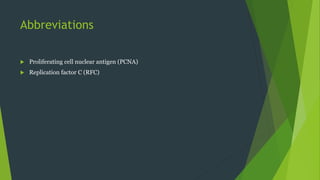 Abbreviations
 Proliferating cell nuclear antigen (PCNA)
 Replication factor C (RFC)
 