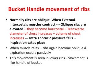 Mechanism of respiration | PDF