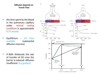 Comprehensive Mechanisms of Respiratory Failure: Pathophysiology and ...