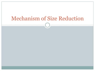 Mechanism of Size Reduction
 