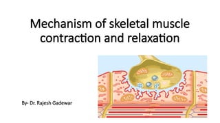Mechanism of skeletal muscle contraction and relaxation.pptx