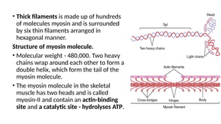 Mechanism of skeletal muscle contraction and relaxation.pptx