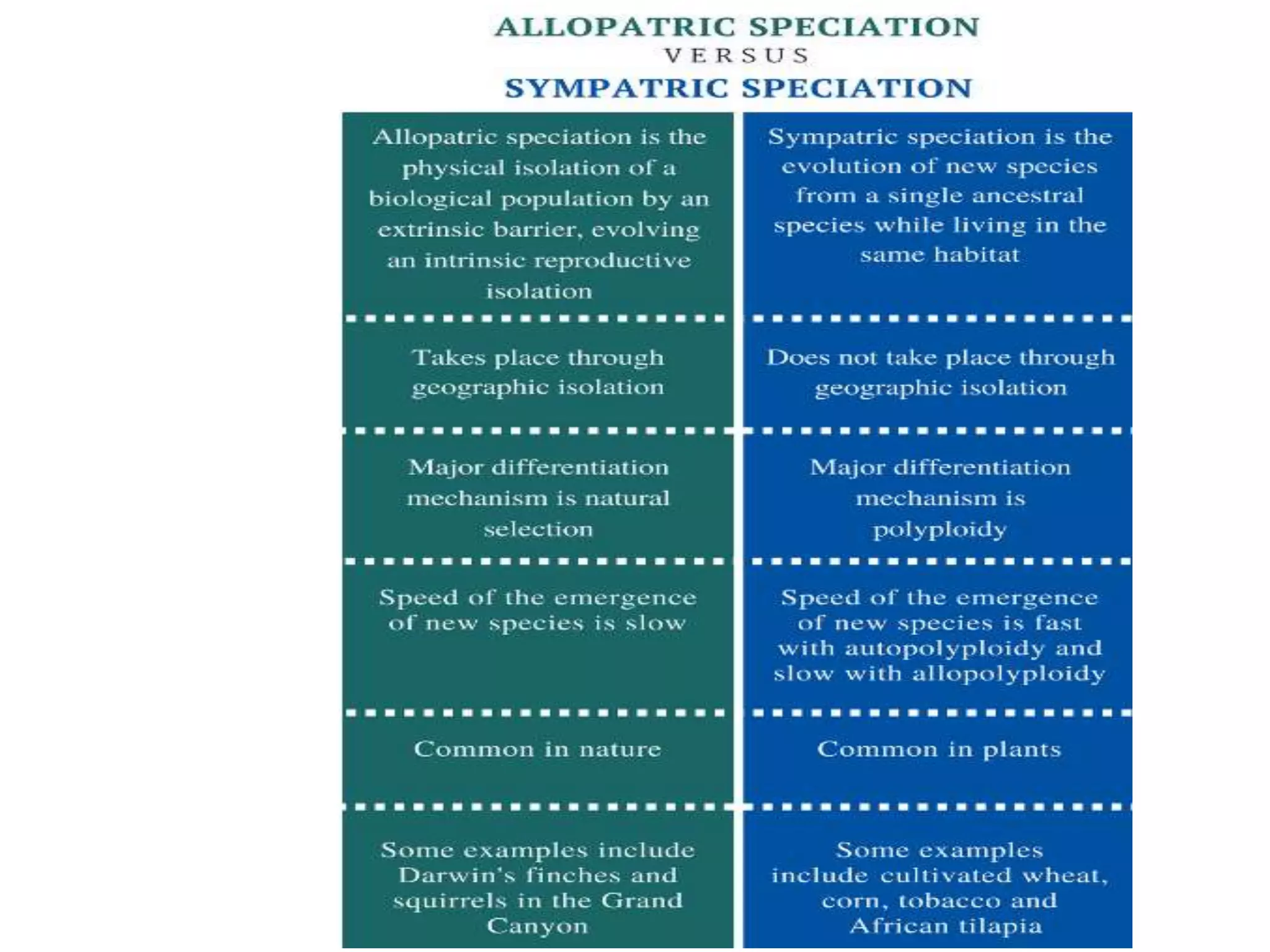 Mechanism of speciation