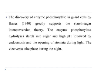  The discovery of enzyme phosphorylase in guard cells by
Hanes (1940) greatly supports the starch-sugar
interconversion theory. The enzyme phosphorylase
hydrolyses starch into sugar and high pH followed by
endosmosis and the opening of stomata during light. The
vice versa take place during the night.
 