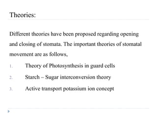 Theories:
Different theories have been proposed regarding opening
and closing of stomata. The important theories of stomatal
movement are as follows,
1. Theory of Photosynthesis in guard cells
2. Starch – Sugar interconversion theory
3. Active transport potassium ion concept
 