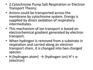 • Cytochrome pump hypothesis on salt
absorption, anions (A⁻ ) are actively absorbed
via a cytochrome pump and cation (M⁺) ...