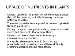 • The uptake of nutrients occurs at both the
roots and the leaves.
• water and minerals
• Carbon dioxide
• Ions may be tak...