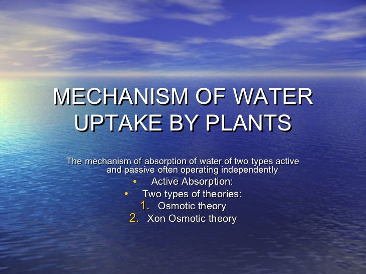Mechanism of water uptake by plants
