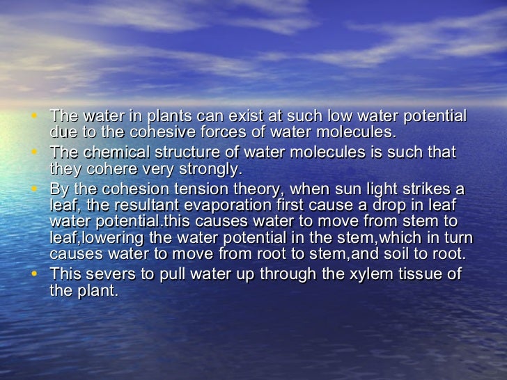 Mechanism of water uptake by plants