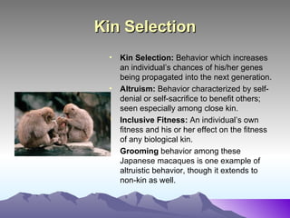 Wolves Kin Selection Mechanisms of Evolution: Population Selection and Change | PPT