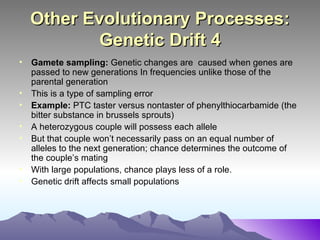 Mechanisms of Evolution: Population Selection and Change | PPT