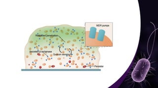 Mechanisms and Control Strategies of Antibiotic Resistance in.pdf