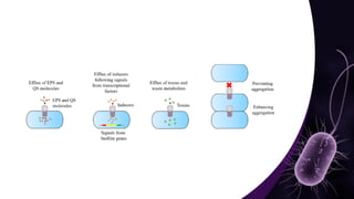 Mechanisms and Control Strategies of Antibiotic Resistance in.pdf