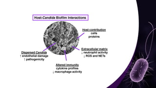 Mechanisms and Control Strategies of Antibiotic Resistance in.pdf