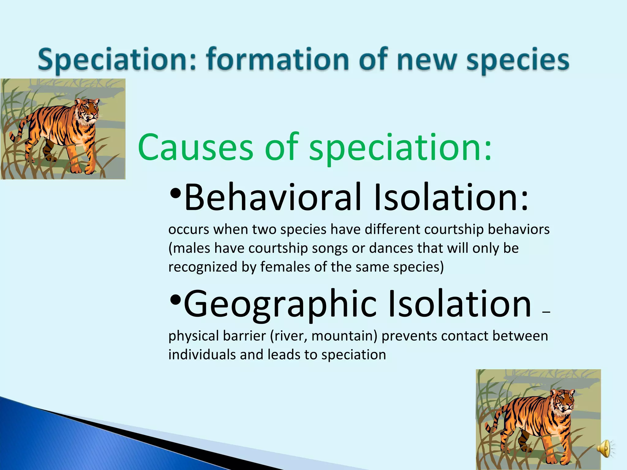 Causes of speciation: Behavioral Isolation:  occurs when two species have different courtship behaviors (males have courtship songs or dances that will only be recognized by females of the same species) Geographic Isolation  – physical barrier (river, mountain) prevents contact between individuals and leads to speciation 
