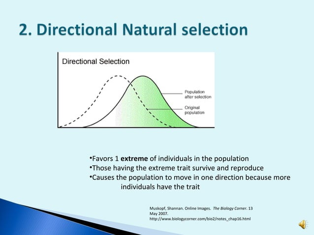 Mechanisms and patterns of evolution | PPT
