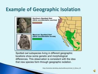 Spotted owl subspecies living in different geographic locations show some genetic and morphological differences. This observation is consistent with the idea that new species form through geographic isolation . http://evolution.berkeley.edu/evolibrary/article/_0_0/evo_45 