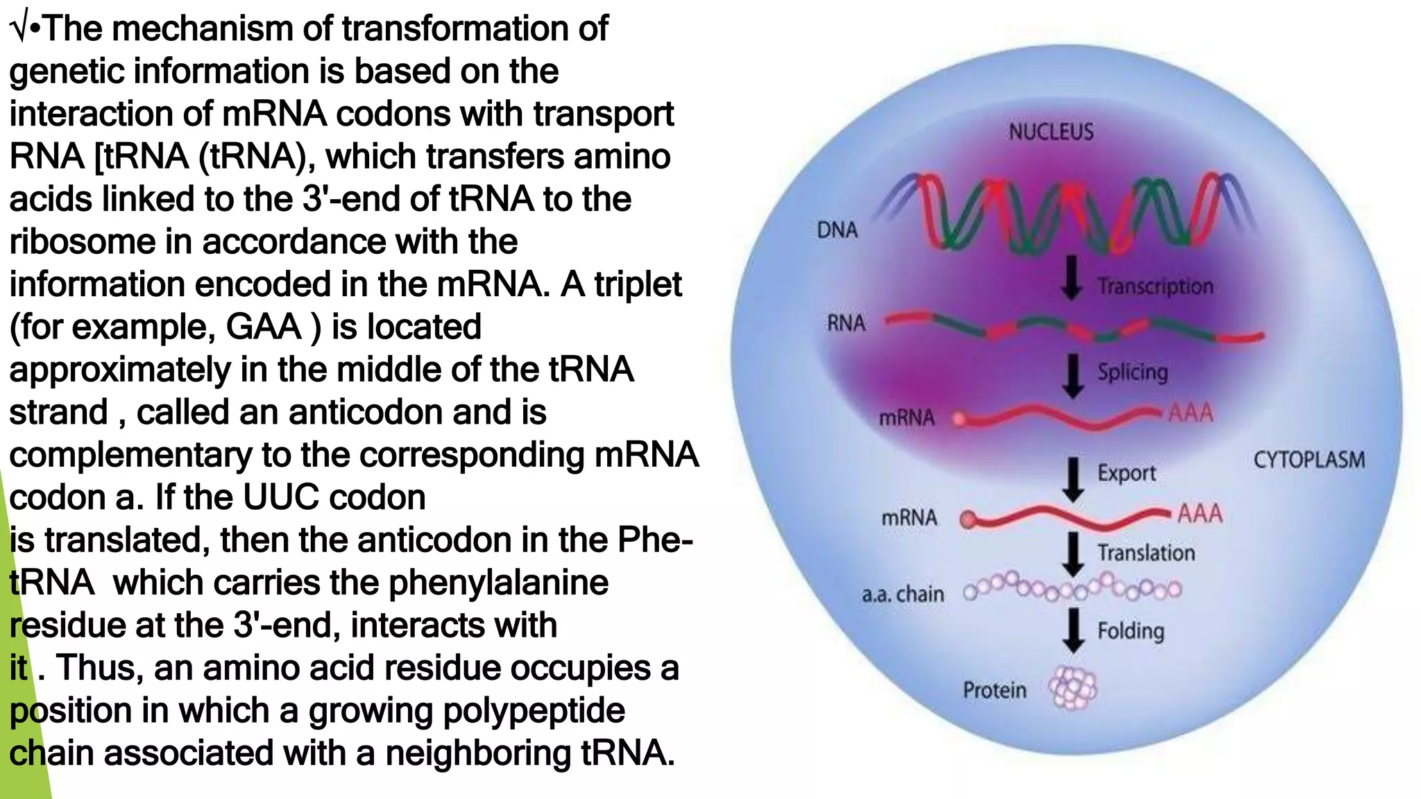 Mechanisms for the implementation of genetic information | PPTX